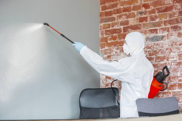 Best Post-Remediation Verification Testing  in Salida, CO