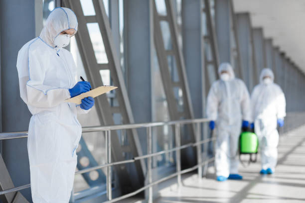  Salida, CO Mold Removal Pros