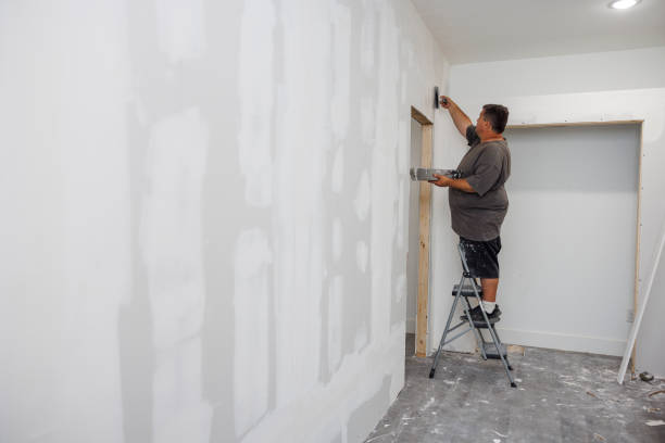 Best Mold Damage Restoration  in Salida, CO
