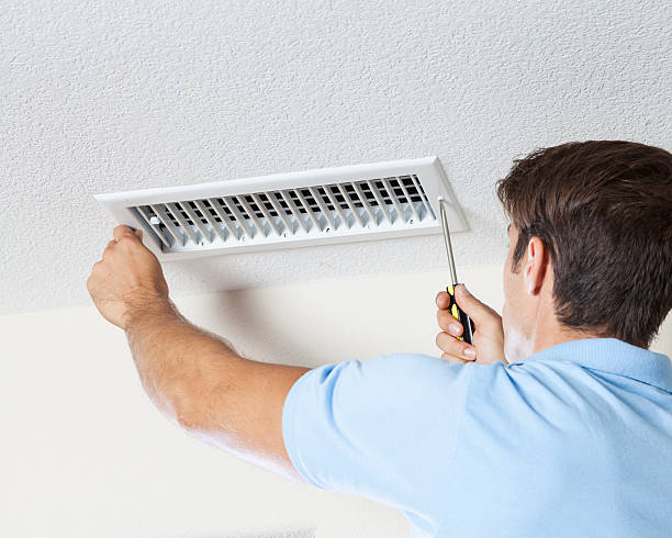 Best Basement Mold Removal  in Salida, CO