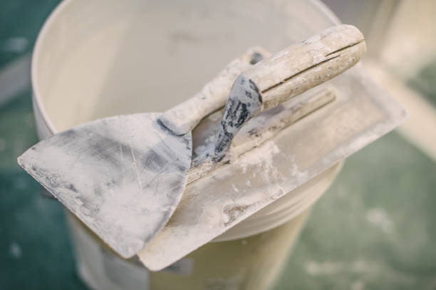 Best Mold Remediation for Healthcare Facilities  in Salida, CO