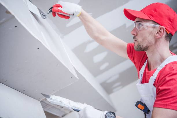 Professional Mold Removal in Salida, CO
